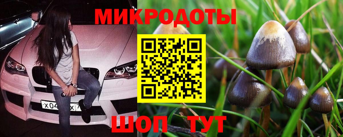 Галлюциногенные грибы Magic Shrooms  Псилоцибиновые грибы GOLDEN TEACHER  Лениногорск  Вход с VPN 